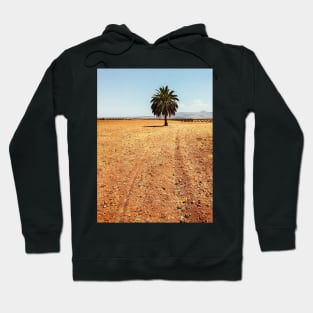 A Palm Tree Standing Alone on Dry Field Hoodie